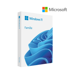 Win 11 Home 64Bit French 1pk DSP OEI DVD