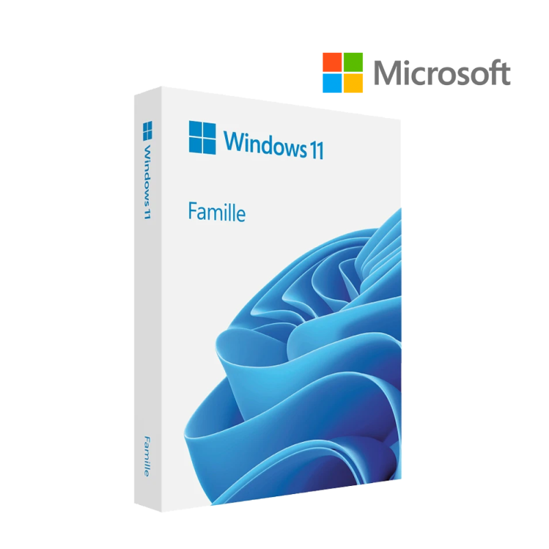 Win 11 Home 64Bit French 1pk DSP OEI DVD