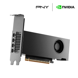 PNY NVIDIA RTX PRO 2000 Blackwell   OEM