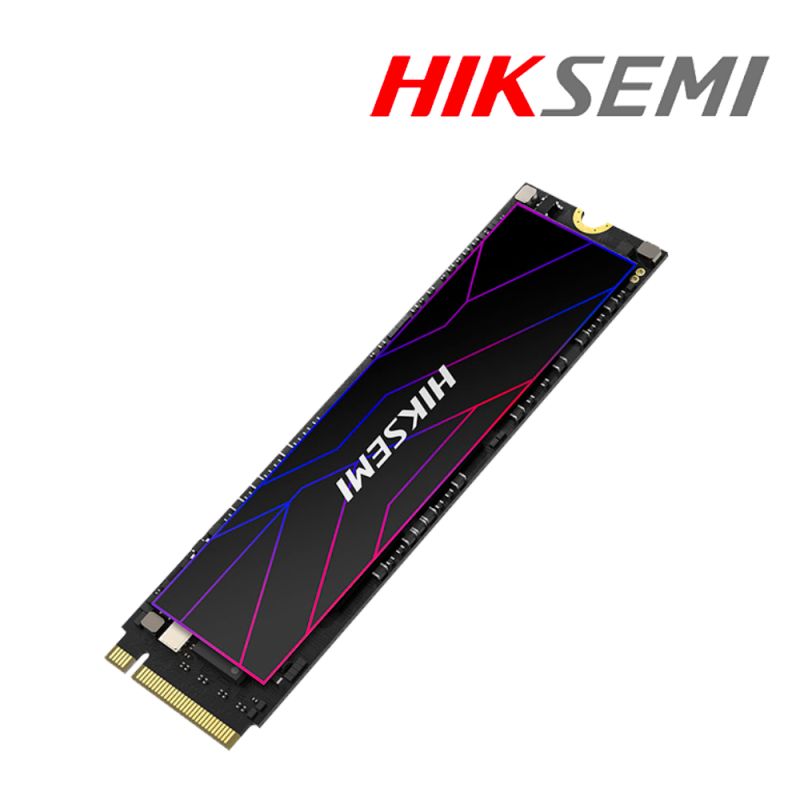 HS-SSD-FUTURE Lite STD  1024G PCIE4